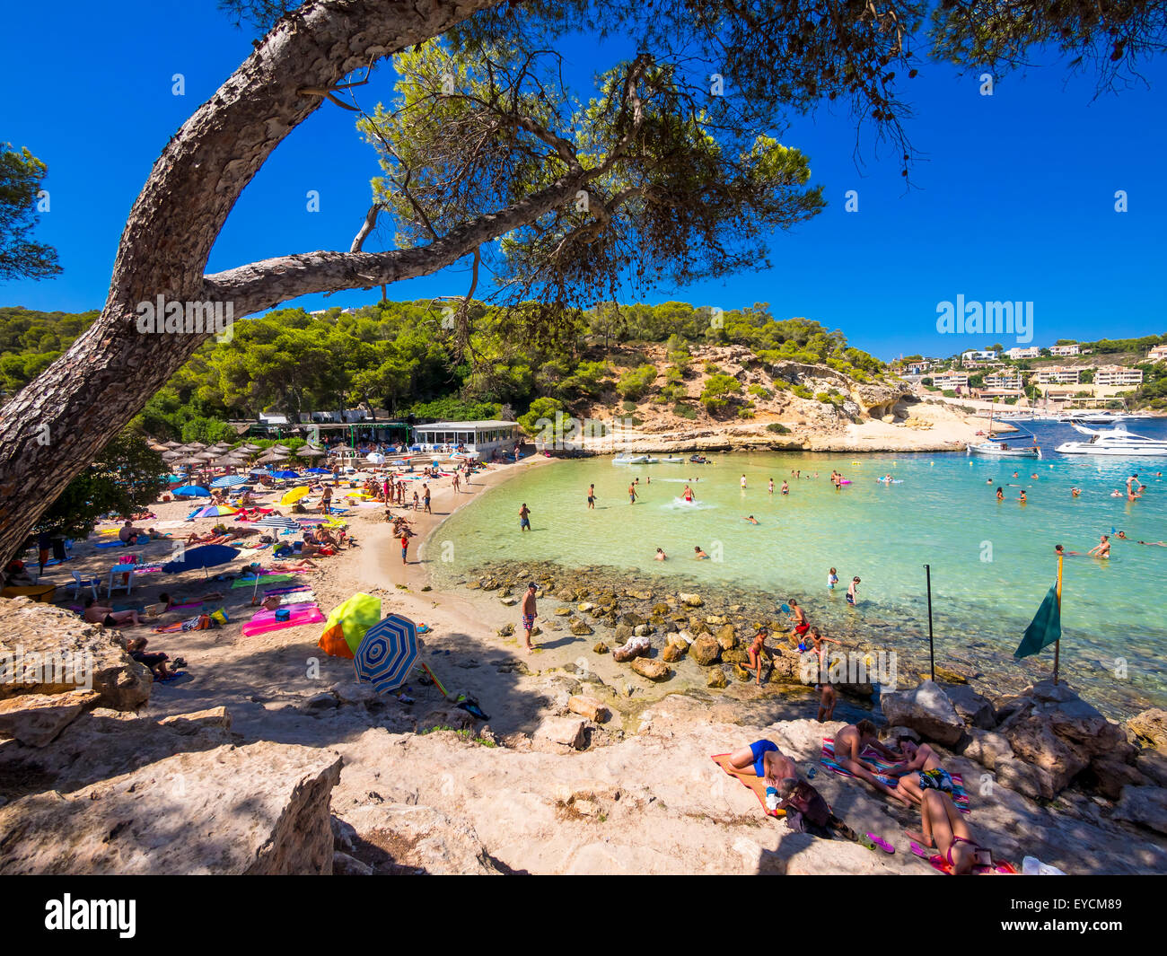 L'Espagne, Îles Baléares, Mallorca, vue de baie de Portals Vells Banque D'Images