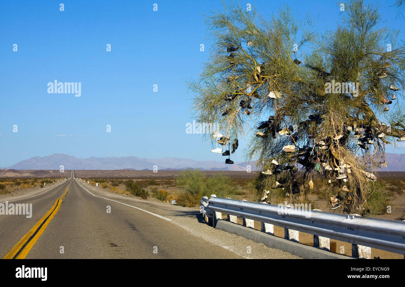 Joshua Tree National Park Banque D'Images