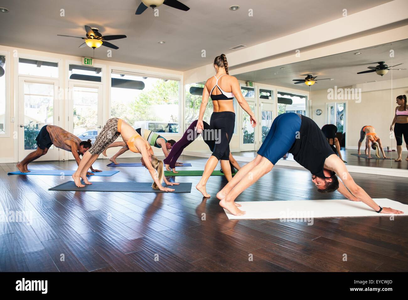 Professeur de Yoga en classe avec des personnes en position de chien à la baisse Banque D'Images