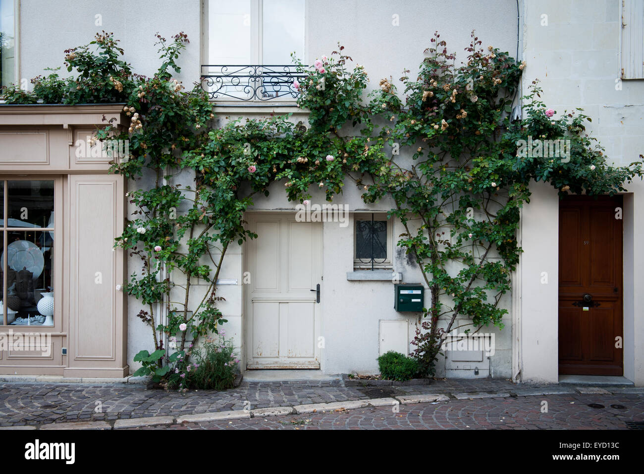 Vignes autour d'une porte d'une maison à Chinon,Val de Loire,France Banque D'Images