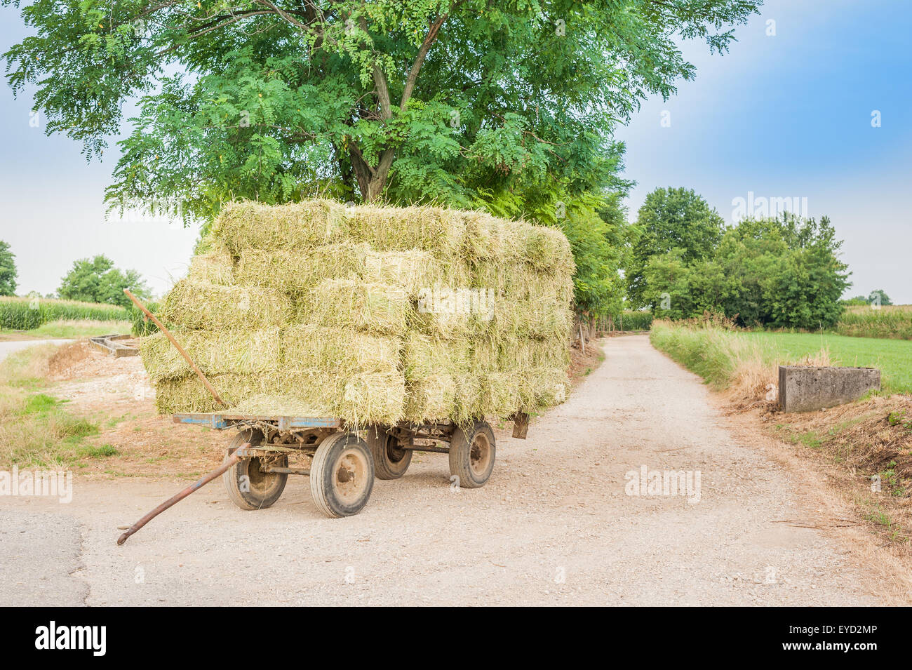 Panier ferme avec hay bales stacked à gauche sur la route Banque D'Images