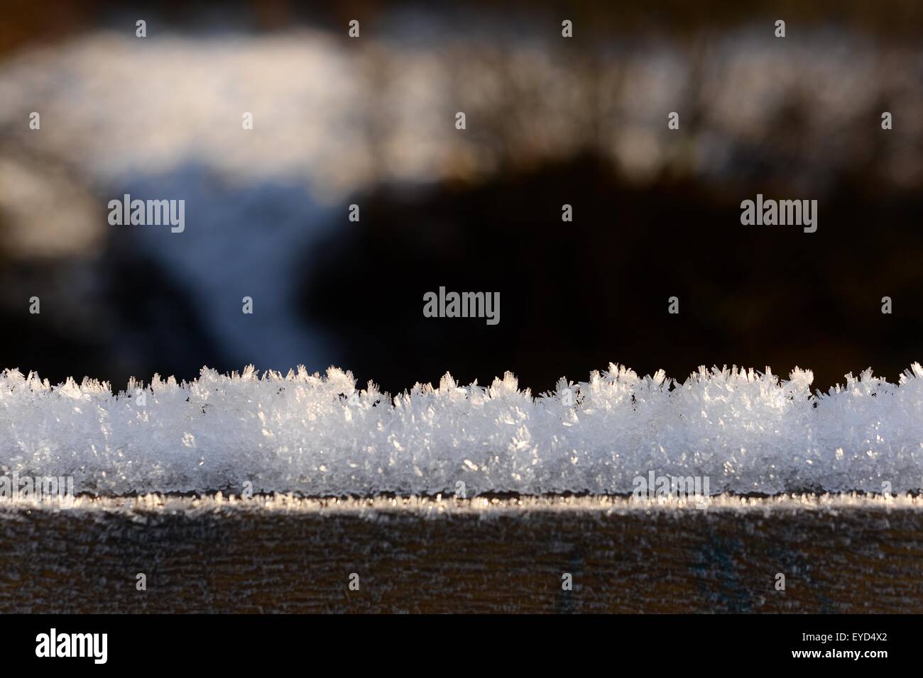 Les cristaux de glace de Haw Frost sur la neige gelée Banque D'Images