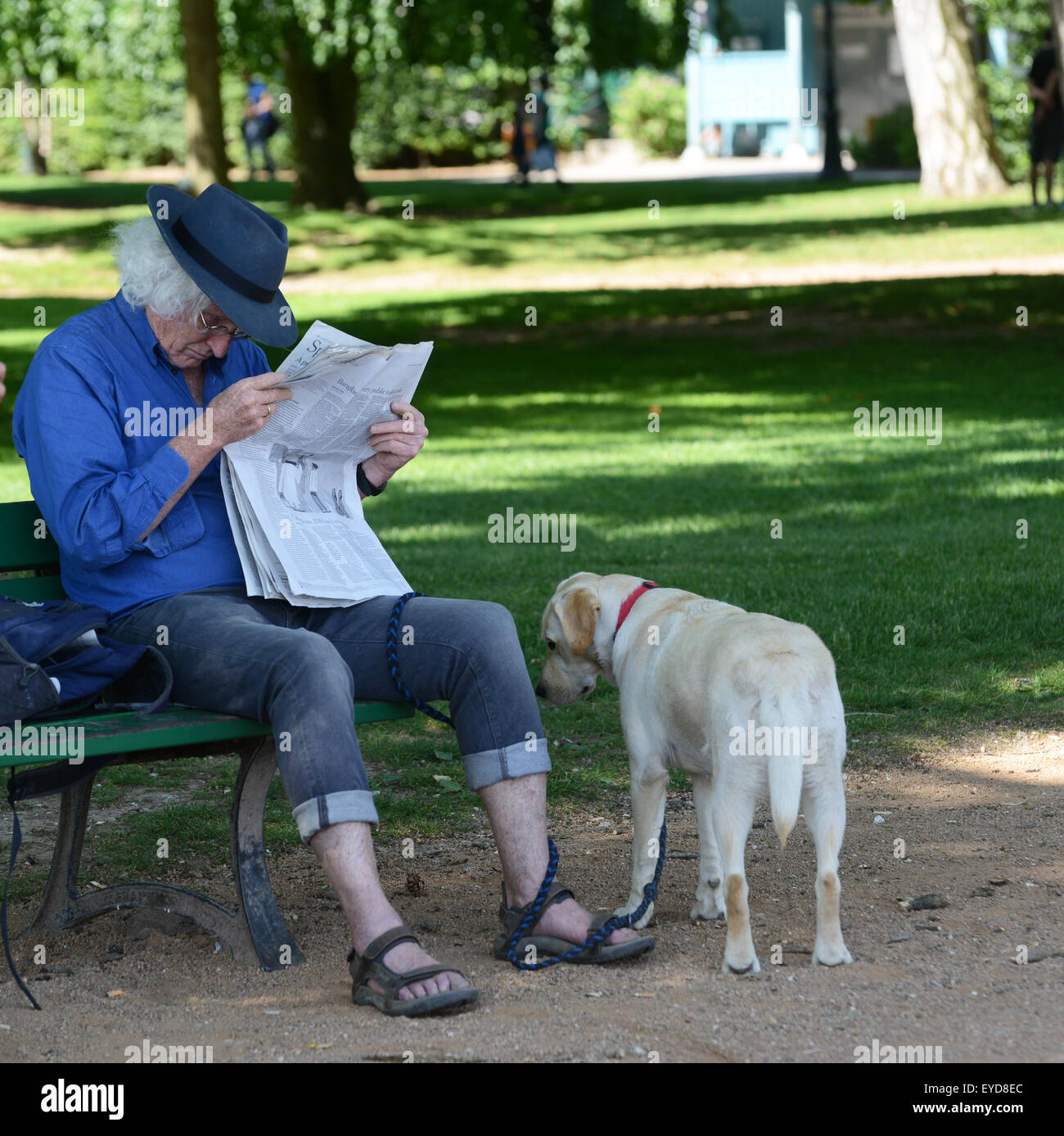 Man reading newspaper in parc public Annecy France French Banque D'Images