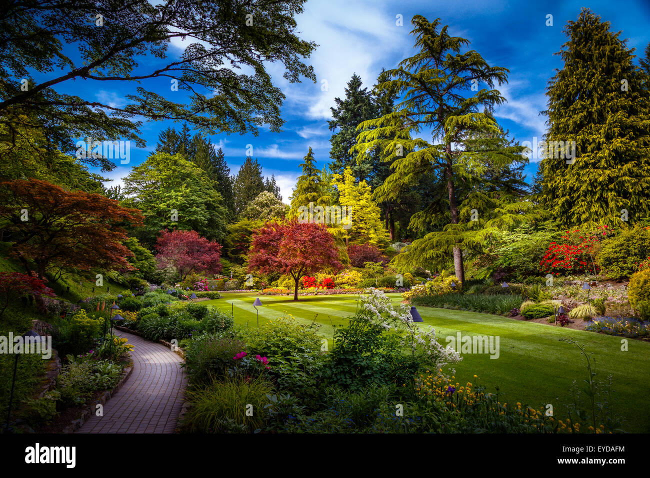 Les Butchart Gardens à Victoria, île de Vancouver, Colombie-Britannique, Canada Banque D'Images