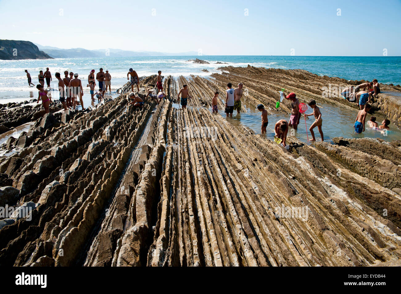Connu sous le nom de roches sédimentaires en Flysch Itzurun Beach, Zumaia, Pays Basque, Espagne Banque D'Images