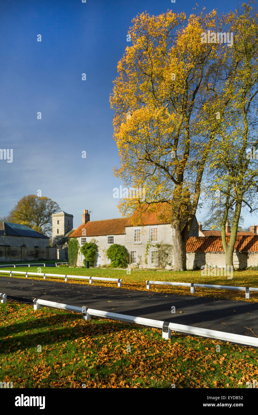 Hovingham, pittoresque village du Yorkshire du Nord, octobre 2014. Banque D'Images
