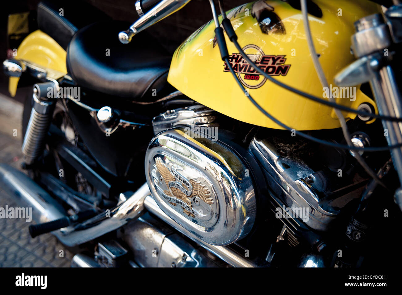 Moto Harley Davidson, Gernika-Lumo, Pays Basque, Espagne Banque D'Images