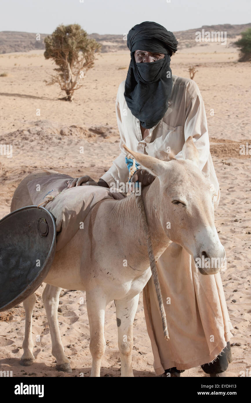 Le Niger, désert du Sahara, région d'Agadez, l'homme touareg Agadez ; d'ânesse Banque D'Images