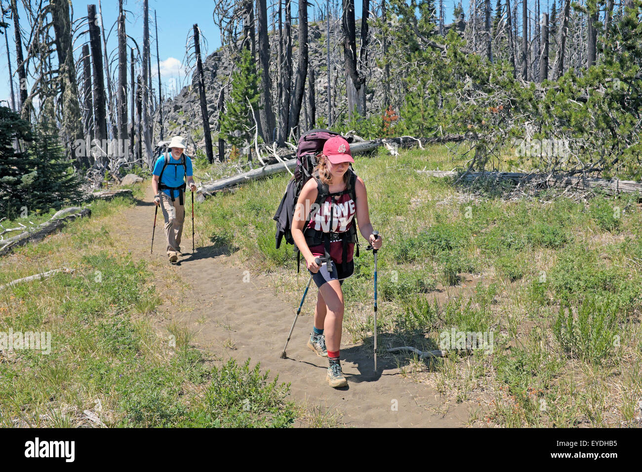 Backpackers sur le Pacific Crest Trail près de Santiam Pass, dans l'Oregon Cascades. Banque D'Images
