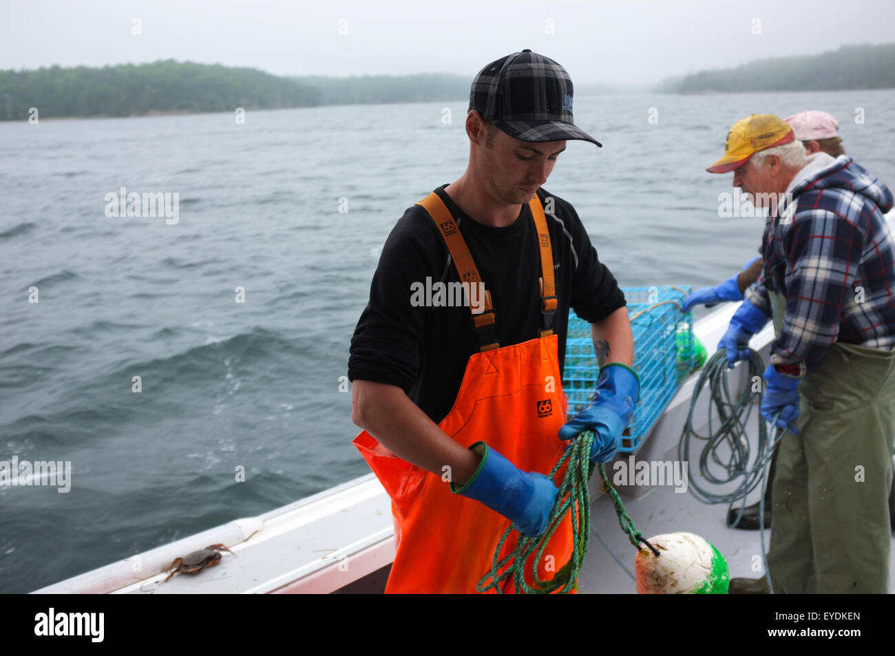 Les pêcheurs de homard de l'île du Cap-Breton, en Nouvelle-Écosse. Banque D'Images