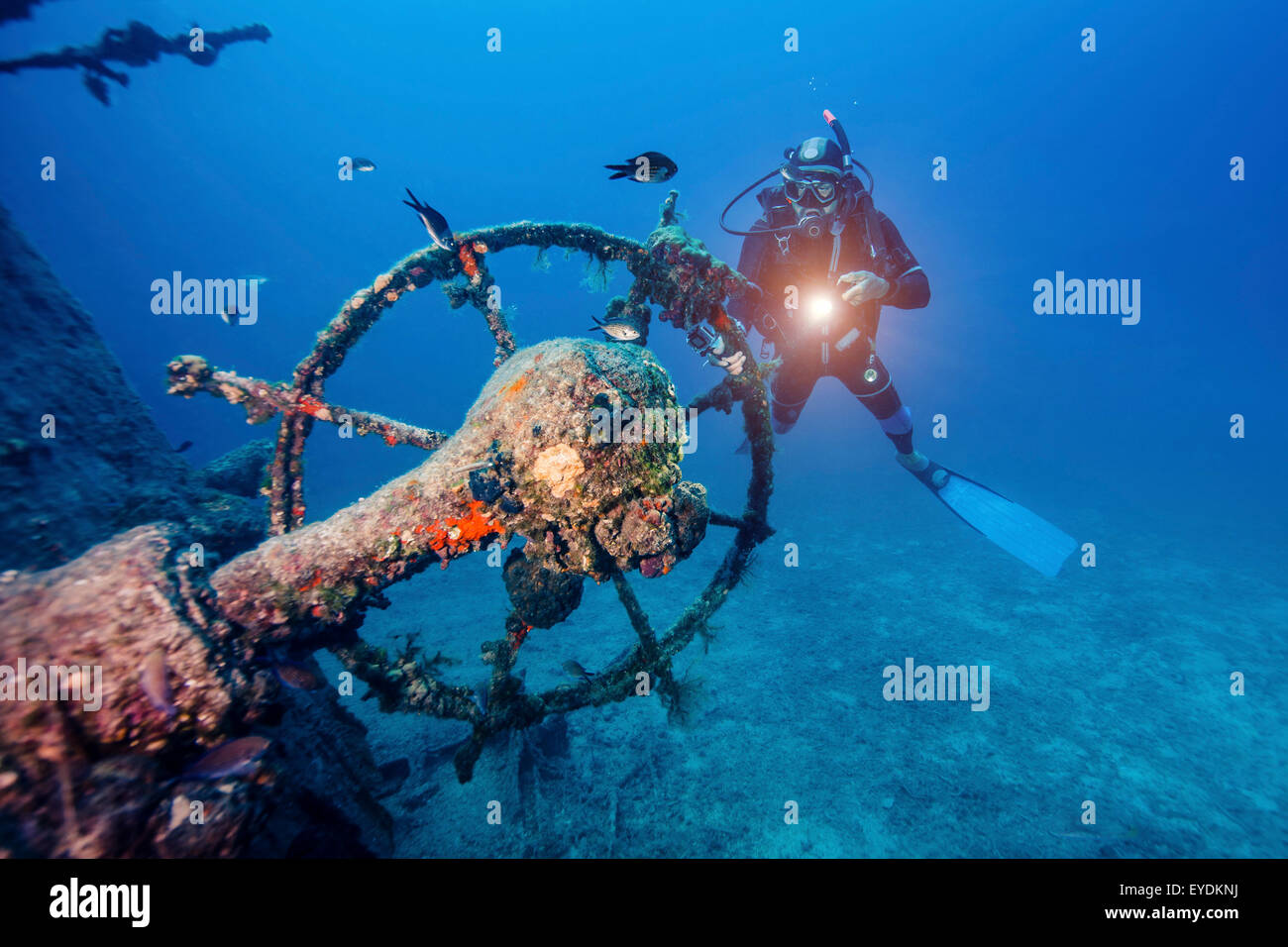 Plongée sous-marine à la découverte d'un naufrage, la mer Adriatique, la Dalmatie, Croatie Banque D'Images