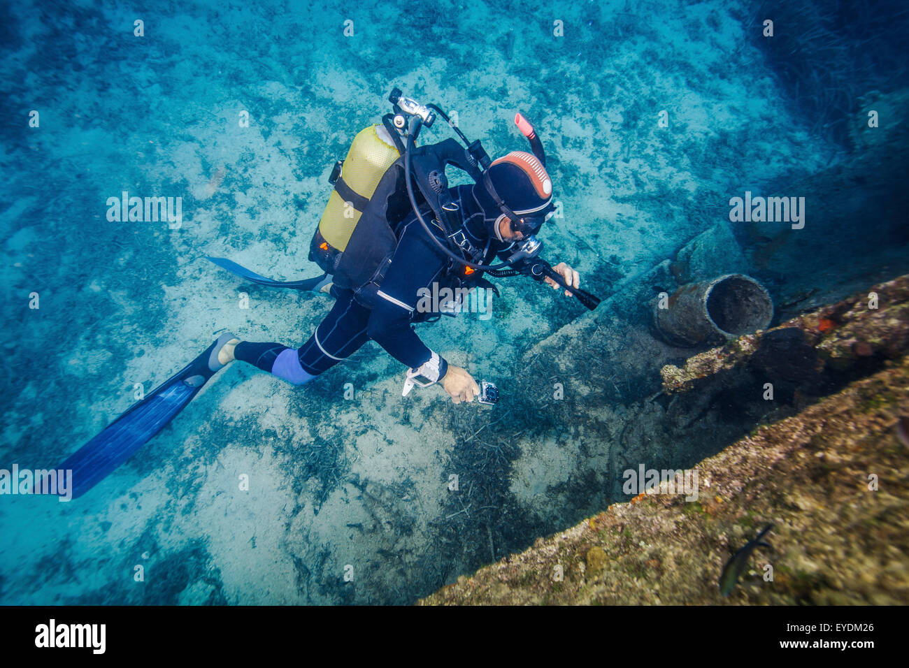 Plongée sous-marine à la découverte d'un naufrage, la mer Adriatique, la Dalmatie, Croatie Banque D'Images