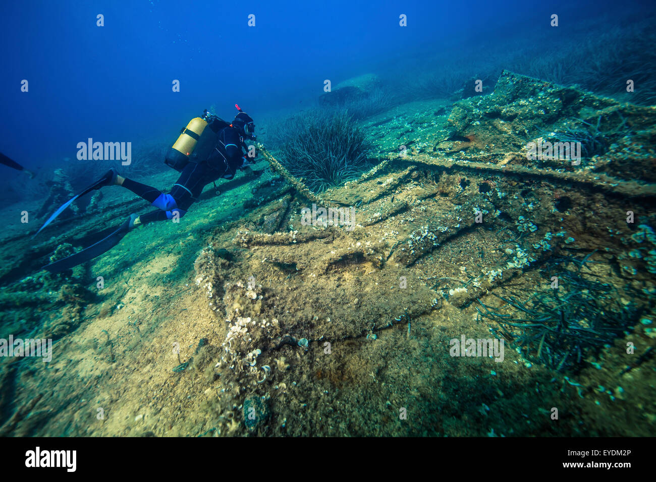 Plongée sous-marine à la découverte d'un naufrage, la mer Adriatique, la Dalmatie, Croatie Banque D'Images