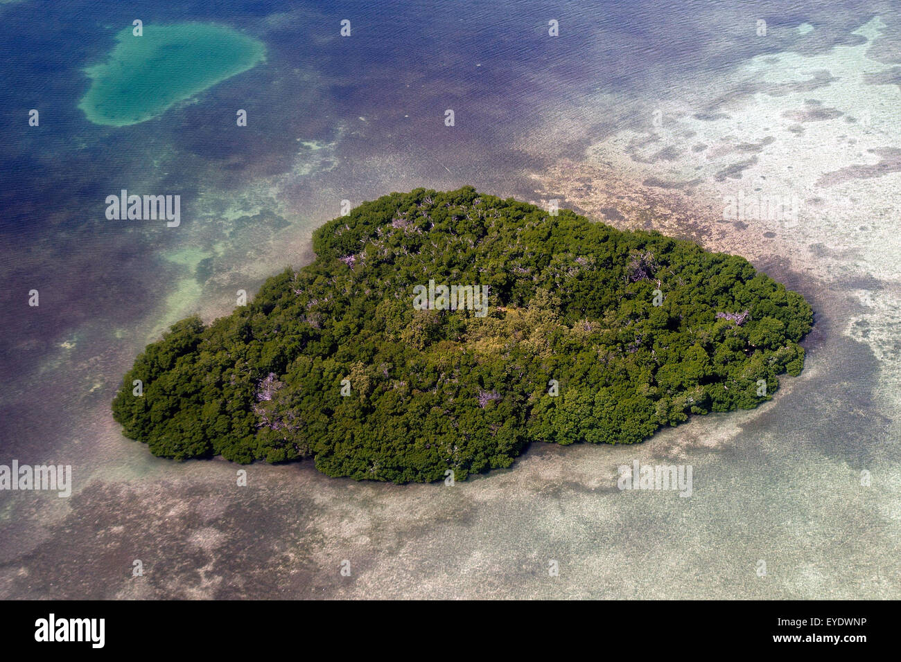 Vue aérienne de Joe Ingram Key, Floride, États-Unis d'Amérique Banque D'Images
