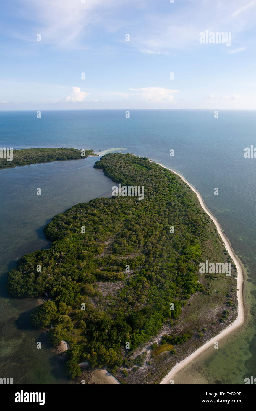 Vue aérienne de littoral le long des touches de marquises, Floride, États-Unis d'Amérique Banque D'Images