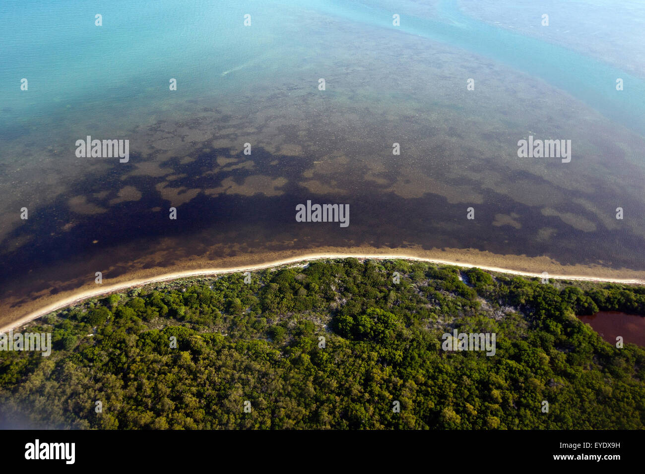 Vue aérienne de littoral le long des touches de marquises, Floride, États-Unis d'Amérique Banque D'Images
