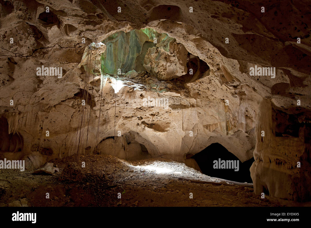 Des formations de roche calcaire, Green Grotto Caves, Discovery Bay, St Ann, Jamaïque Banque D'Images