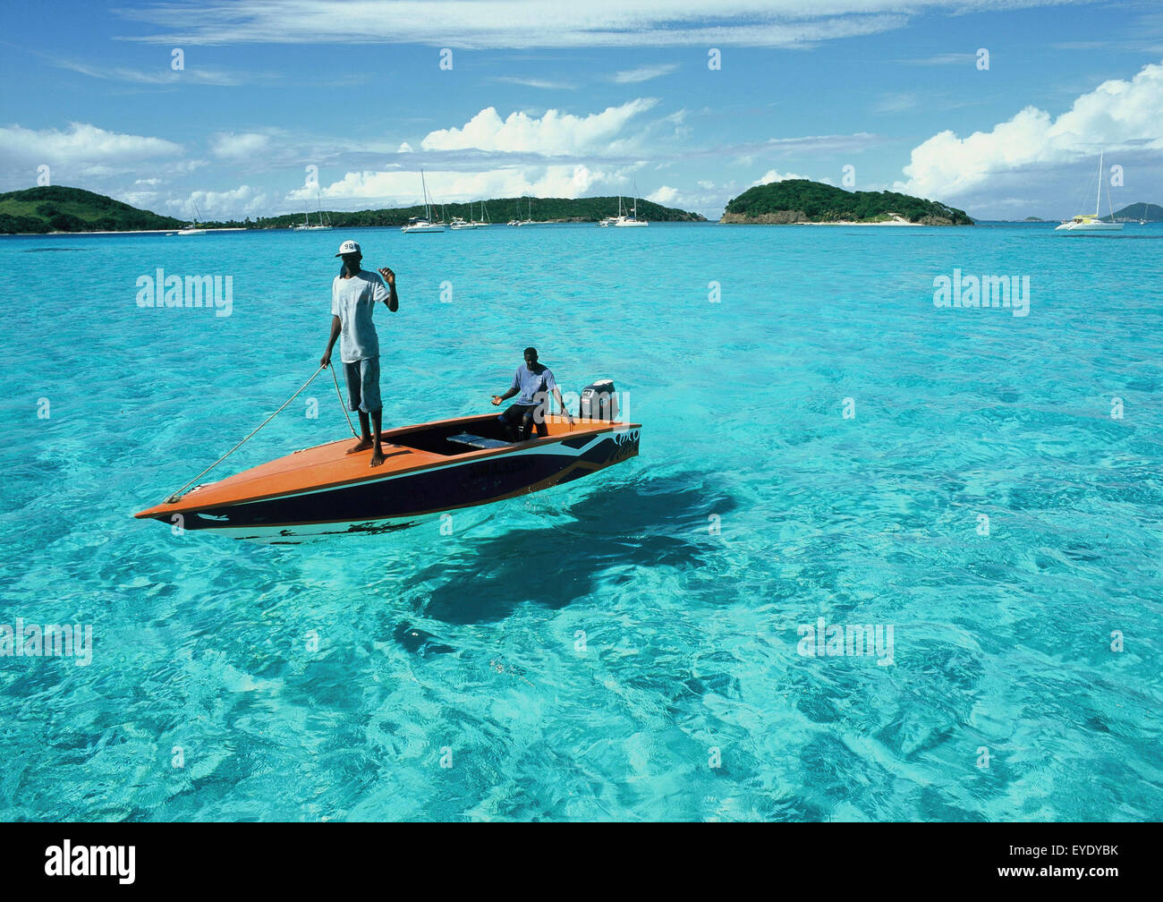 Chris Caldicott/Axiom Niger Cayes Grenadines Caraïbes Banque D'Images