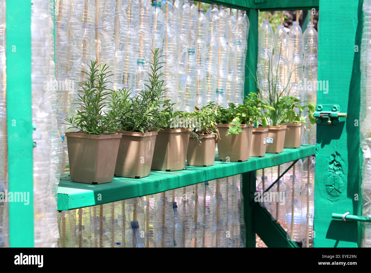 Petite serre fabriqué à partir de bouteilles recyclées Banque D'Images