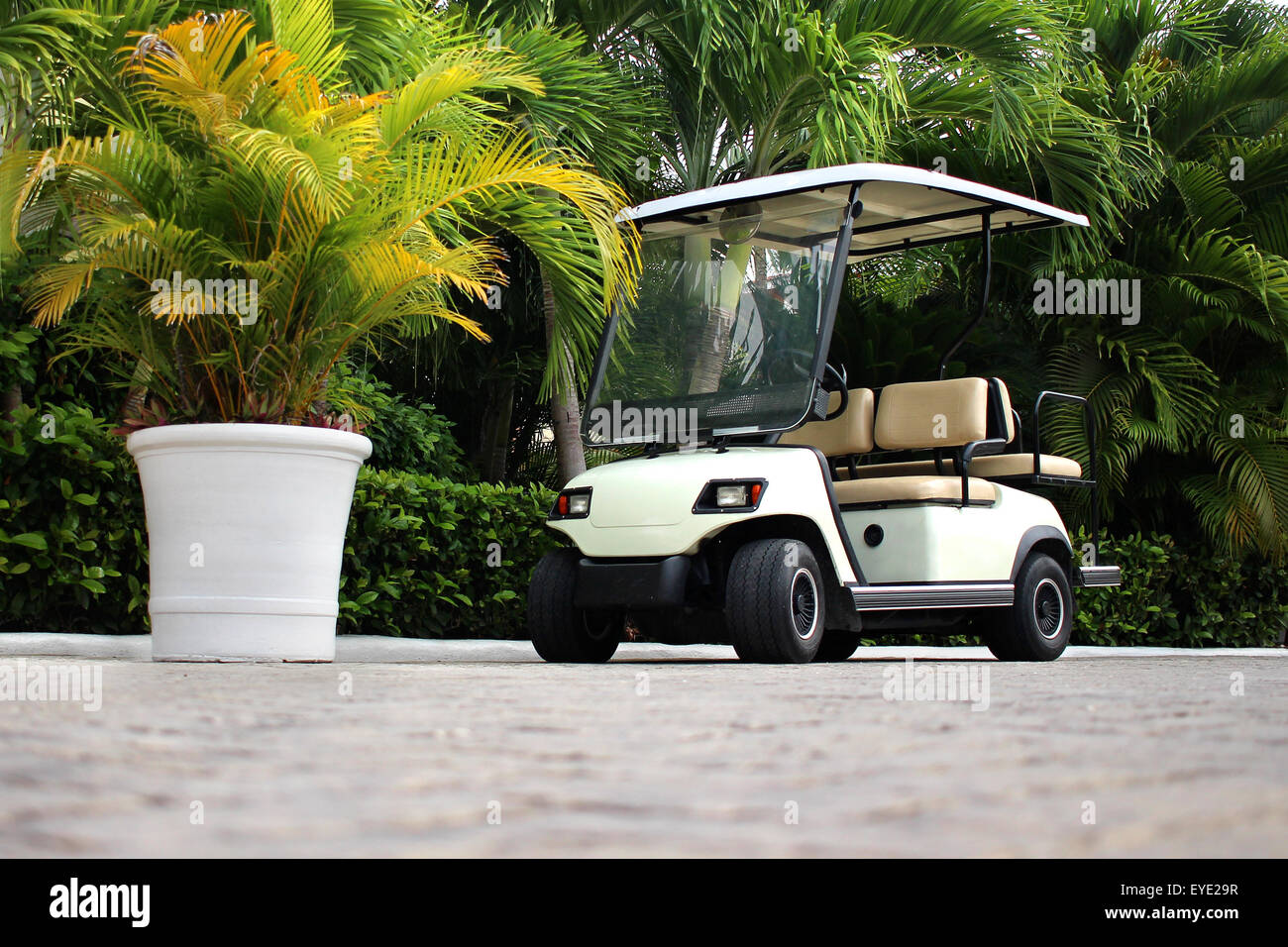 Chariot de golf au tropical resort Banque D'Images