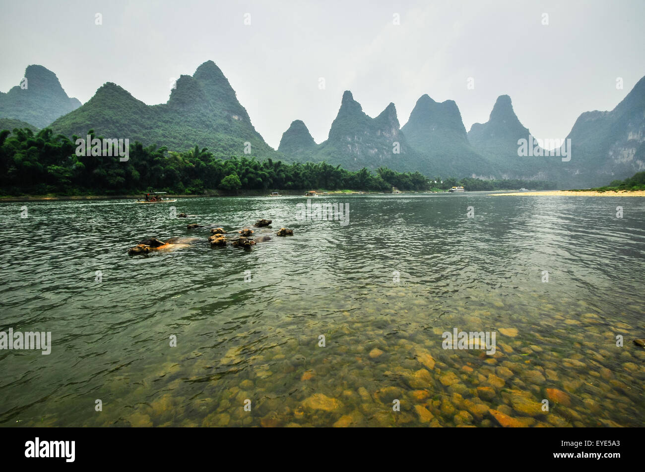 7 étoiles Guillin Park et roches karstiques Yangshuo en Chine. Banque D'Images 7 étoiles Guillin Park et roches karstiques Yangshuo en Chine. Banque D'Images