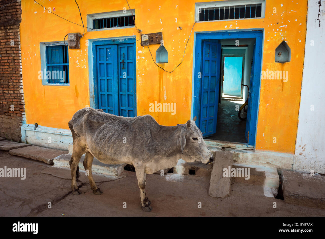 L'extérieur d'une maison colorée de vache dans l'ancien village de Khajuraho, Madhya Pradesh, Inde Banque D'Images