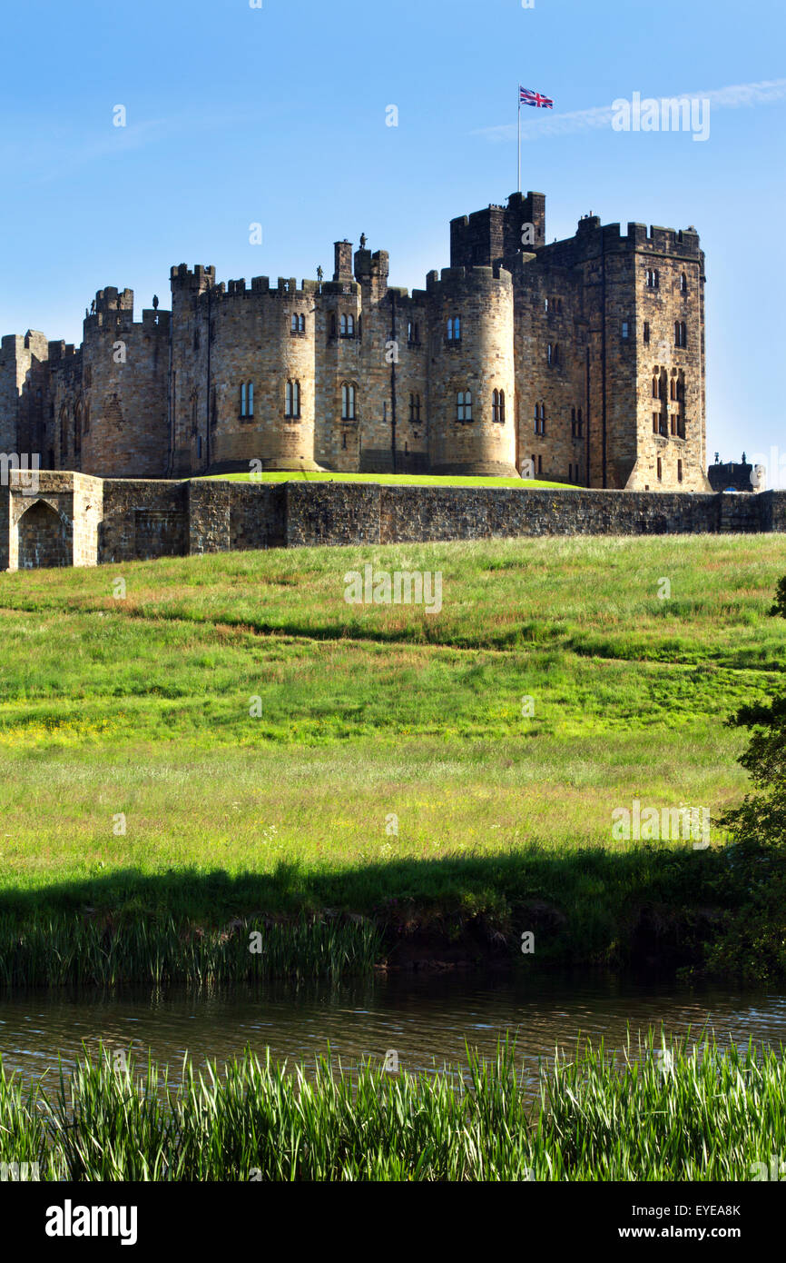 Château d'Alnwick et de la rivière Aln un soir d'été Alnwick Northumberland England Banque D'Images