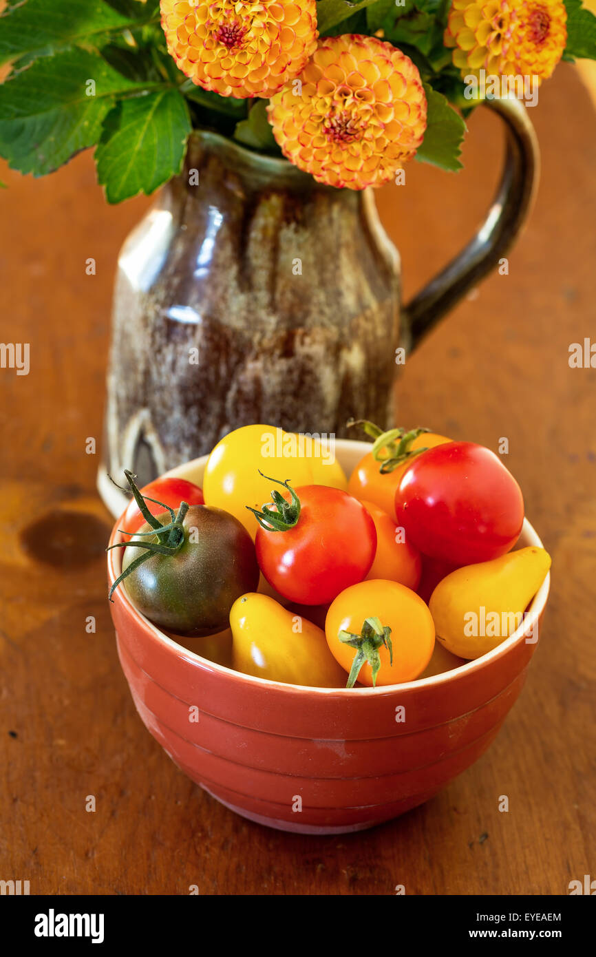 Un bol plein de tomates miniatures du patrimoine et d'un vase de dahlias pompom. Banque D'Images