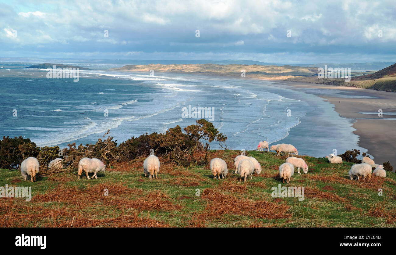 Rhossili Bay Banque D'Images