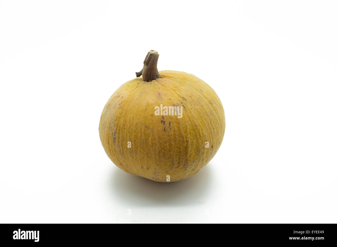 Fruits Santol isolé sur fond blanc Banque D'Images