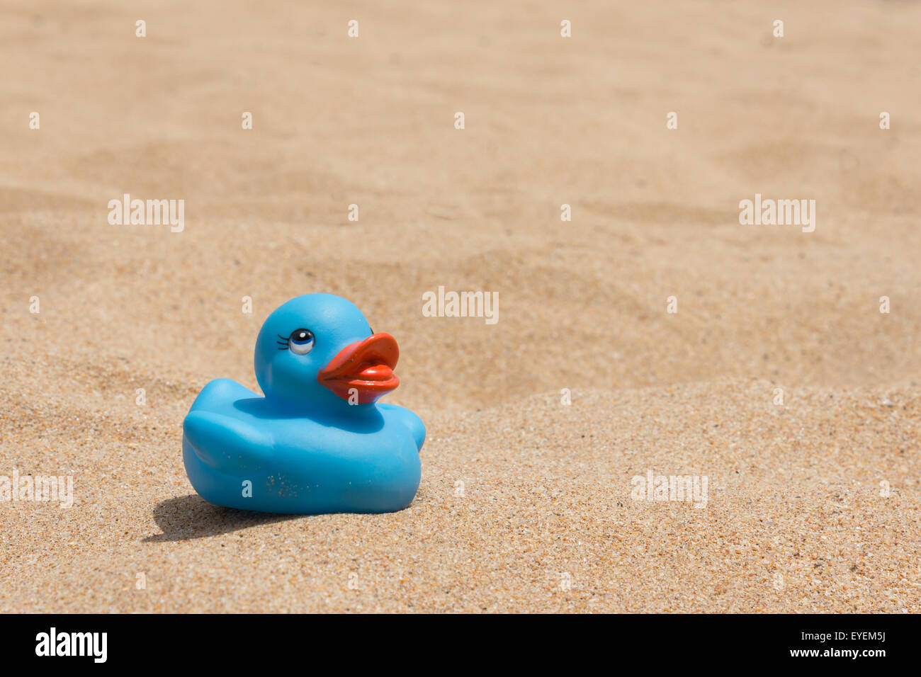 Caneton jouets sur le sable de la plage Banque D'Images