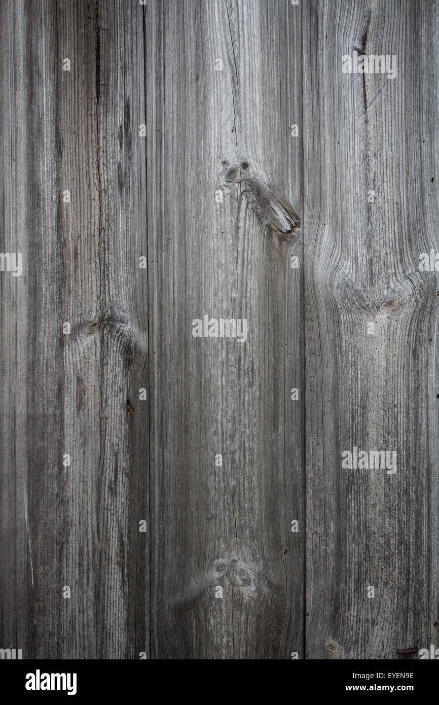 La texture en bois, bois bois vintage 24 Banque D'Images