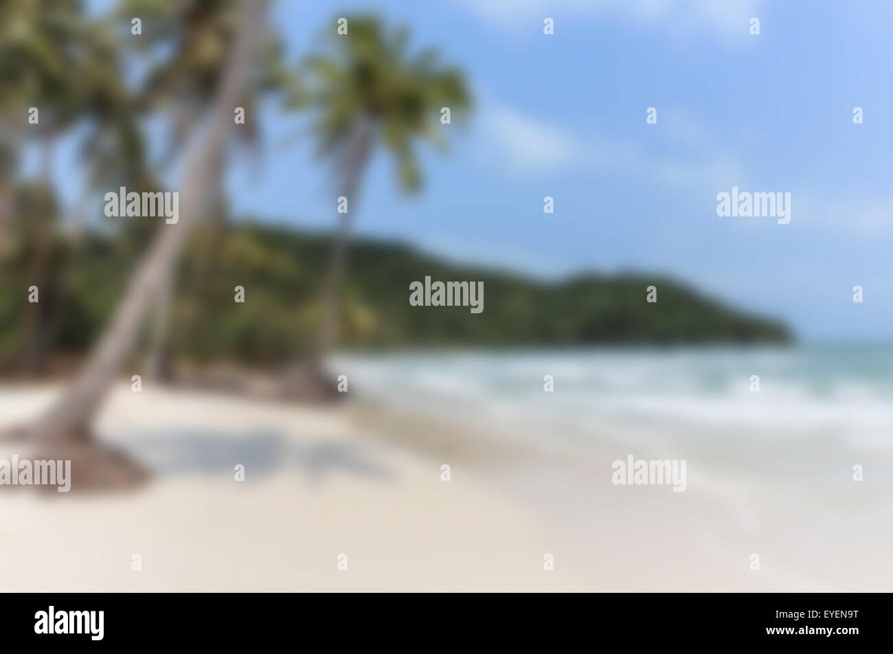 Plage de sable blanc, palmiers et ciel bleu océan - blurred Banque D'Images