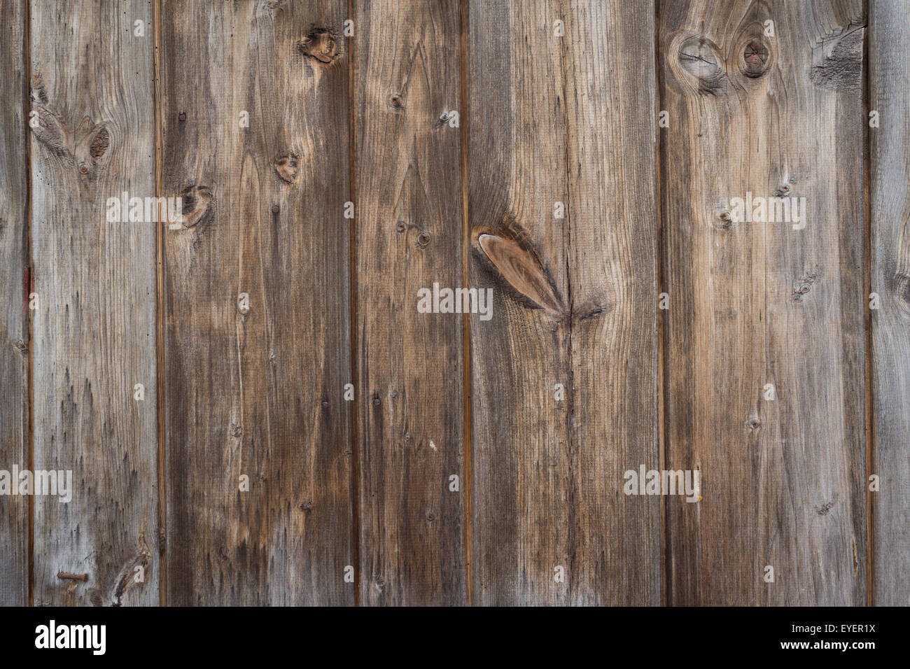 La texture en bois - wood background Banque D'Images