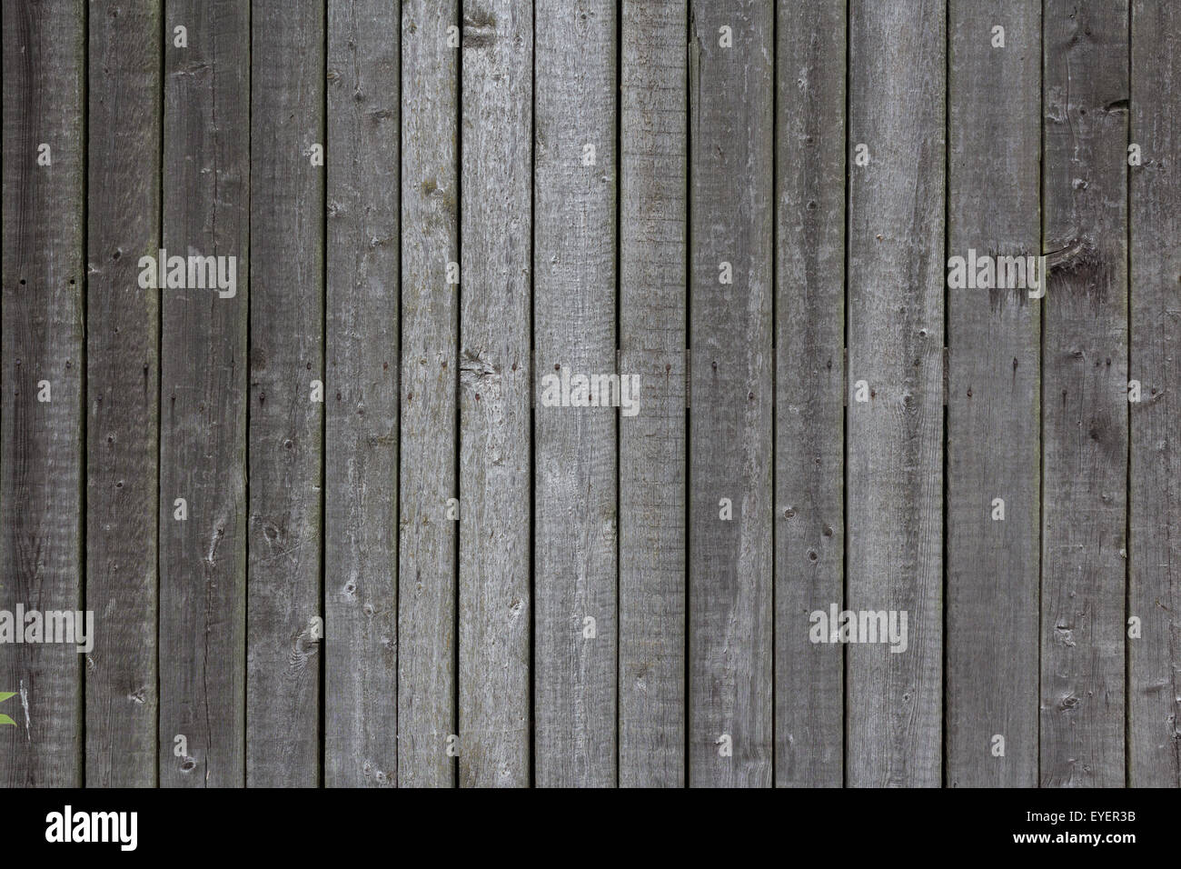 Vintage wood background texture en bois, Banque D'Images