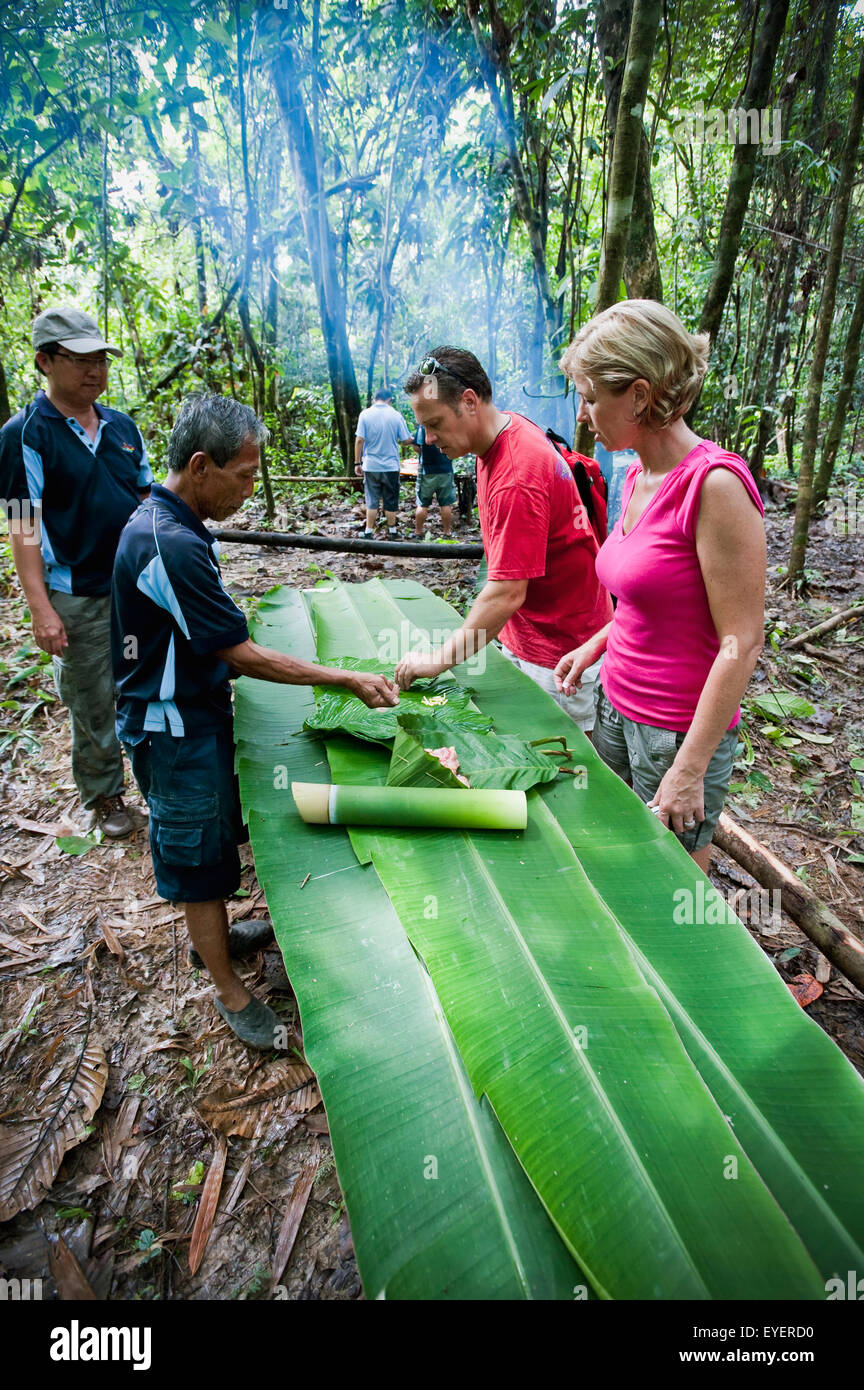 Les touristes randonnée à travers la jungle dans la région de Ulu Temburong National Park avec guide ; Brunei Banque D'Images