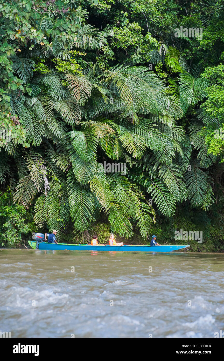 Les touristes River en bateau au Parc National d'Ulu Temburong ; Brunei Banque D'Images