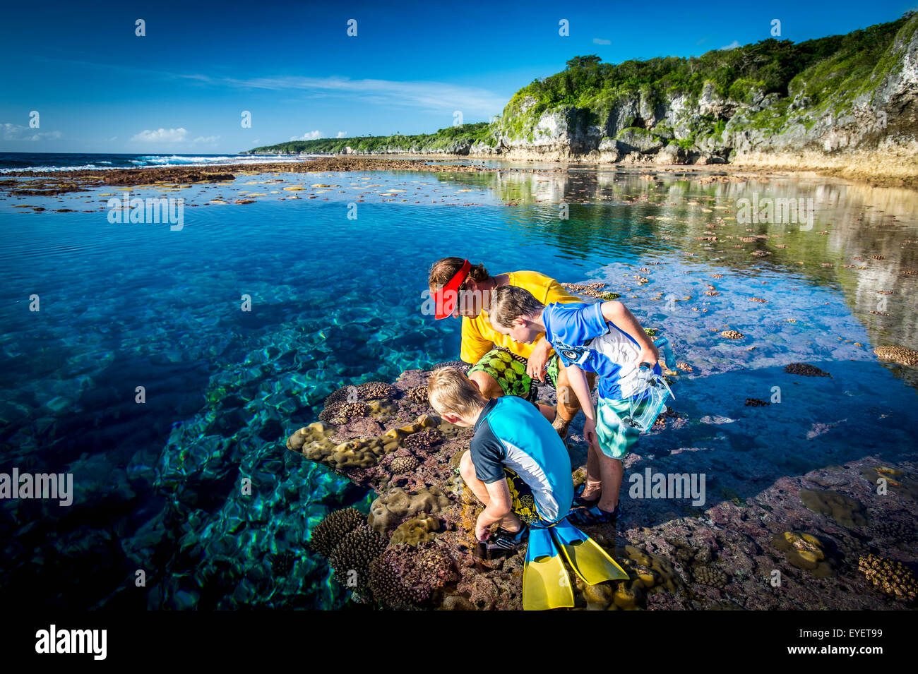 Découverte de la famille de corail qui sonne ; Niue Île de Niue Banque D'Images