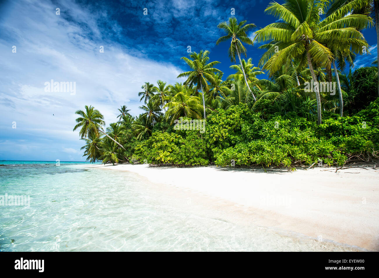Une île qui fait partie du parc marin, un petit tour en bateau du continent ; Tuvalu Tuvalu Banque D'Images