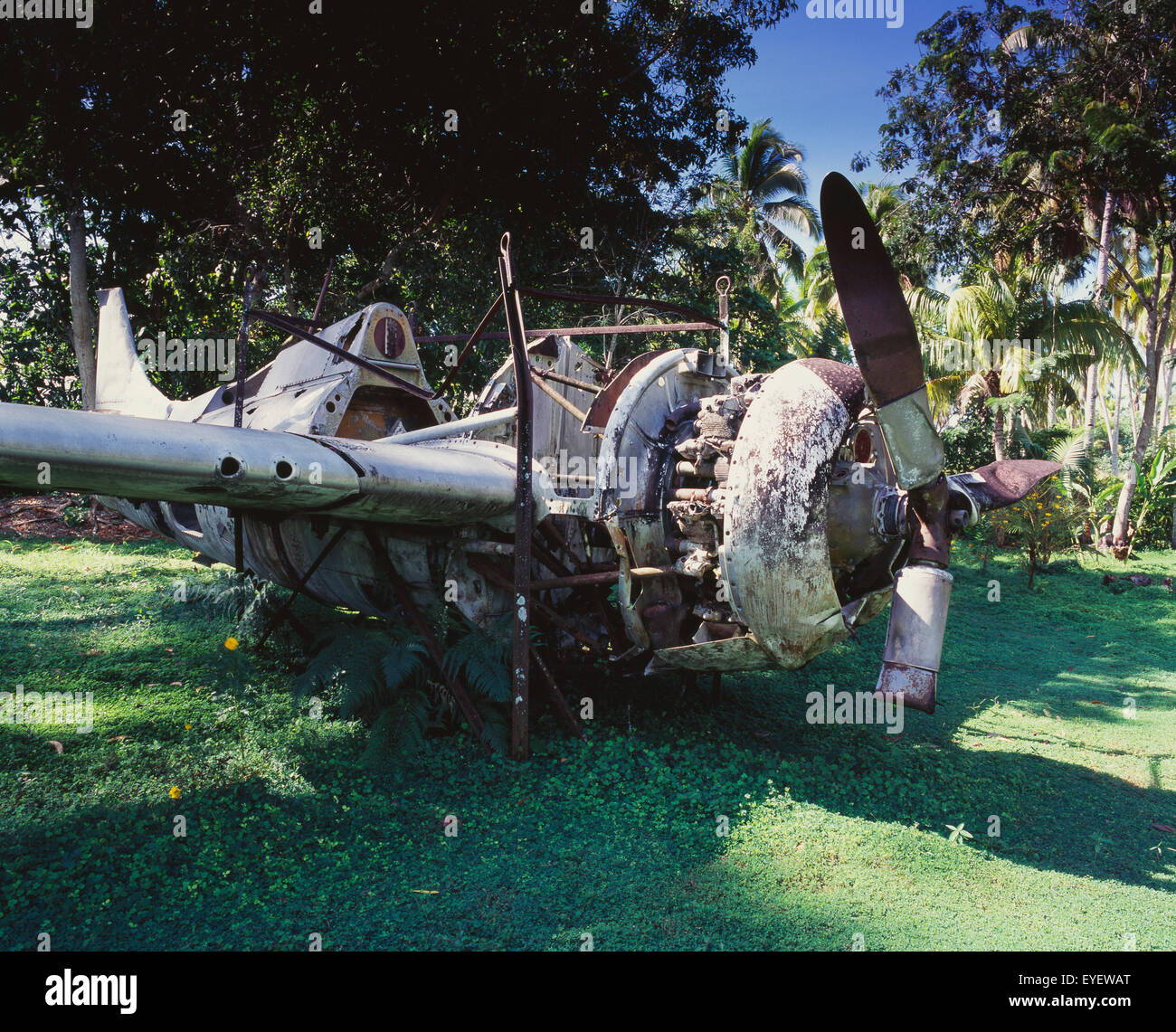 WW11 Plane wreck ; Guadacanal, Îles Salomon Banque D'Images