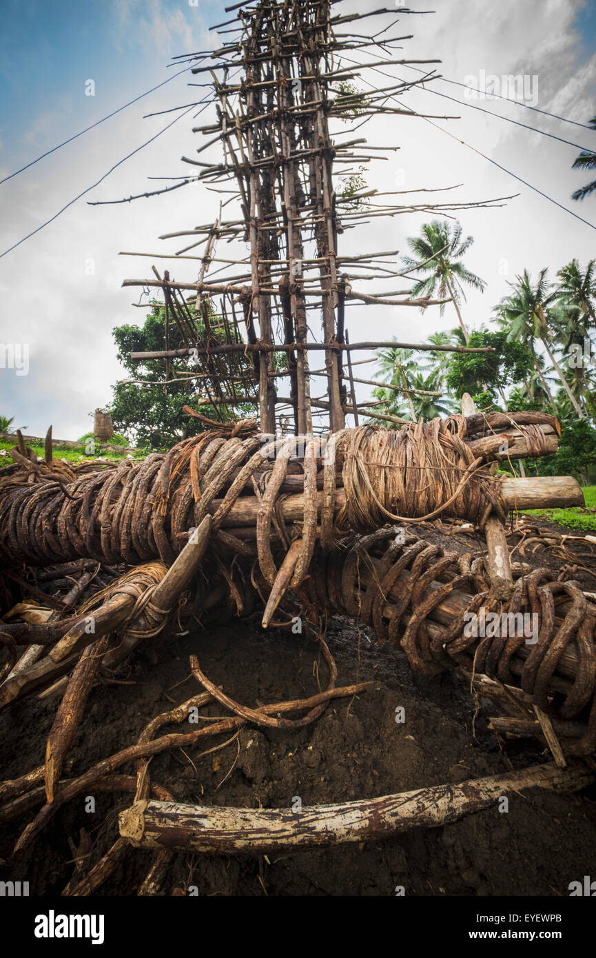 La base d'une tour de plongeon des terres ; l'île de Pentecôte (Vanuatu) Banque D'Images