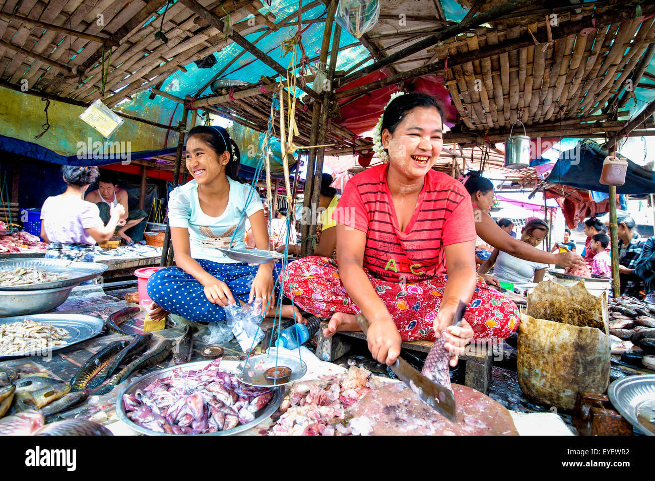 Les femmes au marché du poisson ; Yangoon, Myanmar Banque D'Images