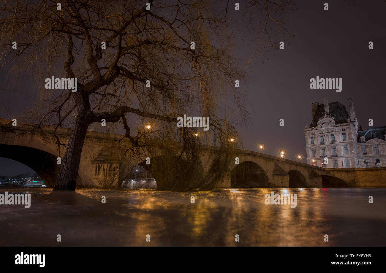 Les inondations de la Seine, d'hiver 2013, les pieds dans l'eau d'un saule pleureur inondées des banques. Sous le pont Royal qui leeds pour le Musée du Louvre 04/02/2013 - Sylvain Leser Banque D'Images Les inondations de la Seine, d'hiver 2013, les pieds dans l'eau d'un saule pleureur inondées des banques. Sous le pont Royal qui leeds pour le Musée du Louvre 04/02/2013 - Sylvain Leser Banque D'Images