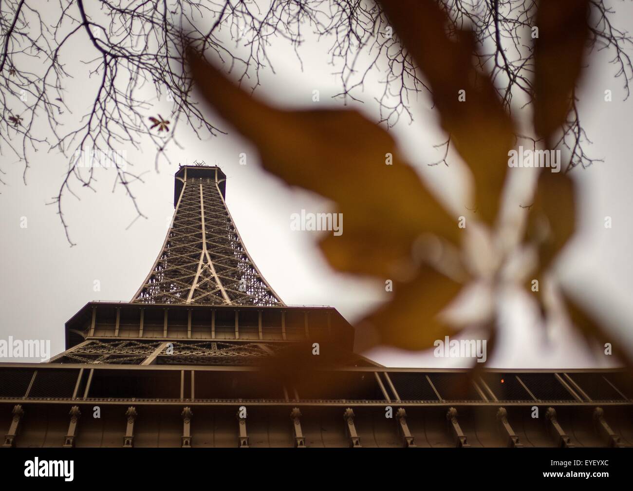 La couleur de l'automne au pied de la Tour Eiffel à Paris 24/11/2012 - Sylvain Leser Banque D'Images