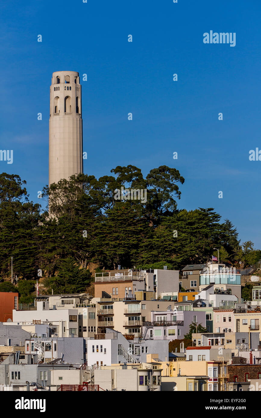 Coit Tower, un site historique de San Francisco, s'élève au-dessus du quartier de Telegraph Hill, San Francisco, Californie Banque D'Images