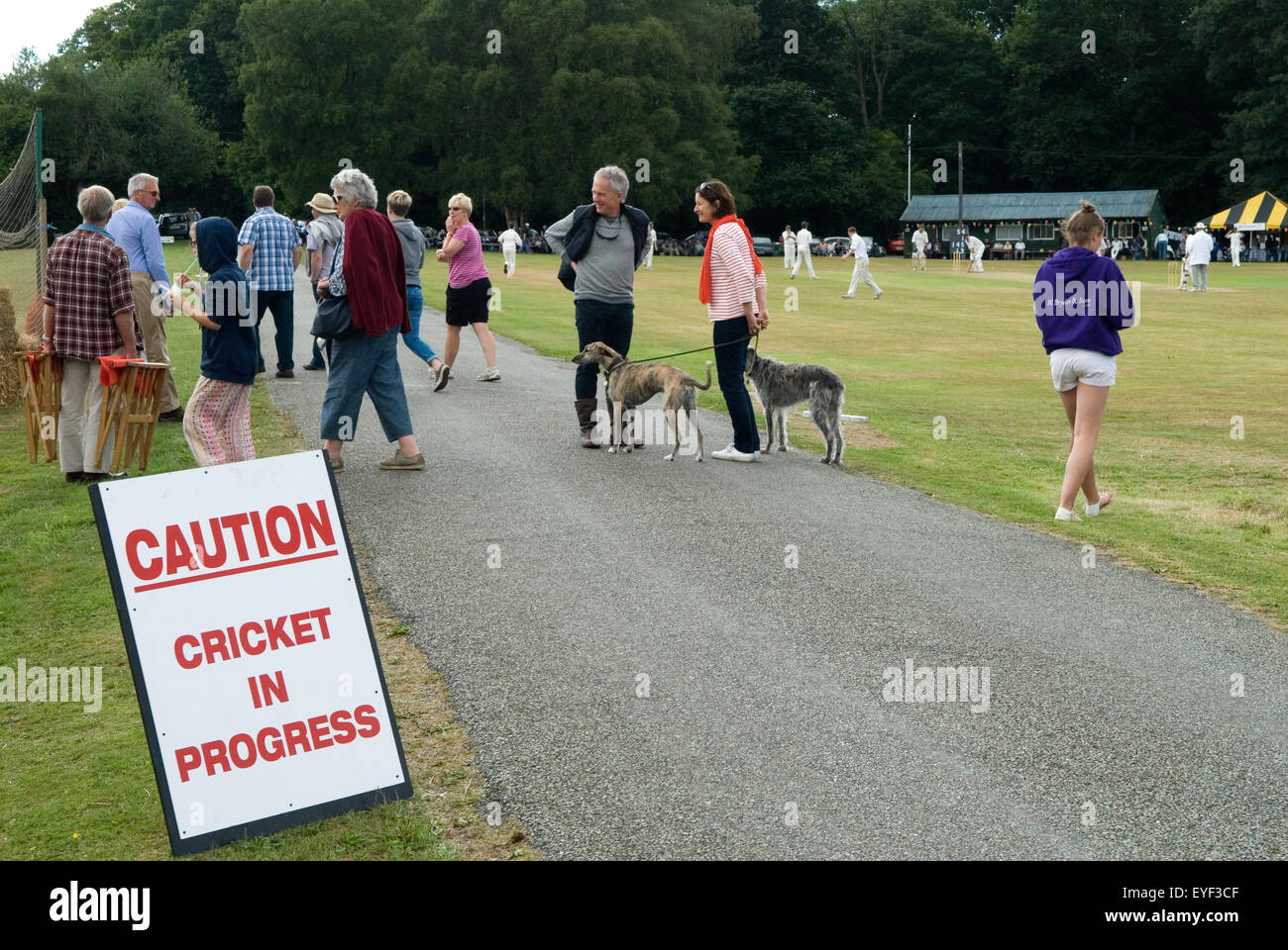 Vie de famille en Grande-Bretagne, match de cricket de village en cours, bavardage des spectateurs. Près de Petworth West Sussex UK 2015 2010s HOMER SYKES Banque D'Images