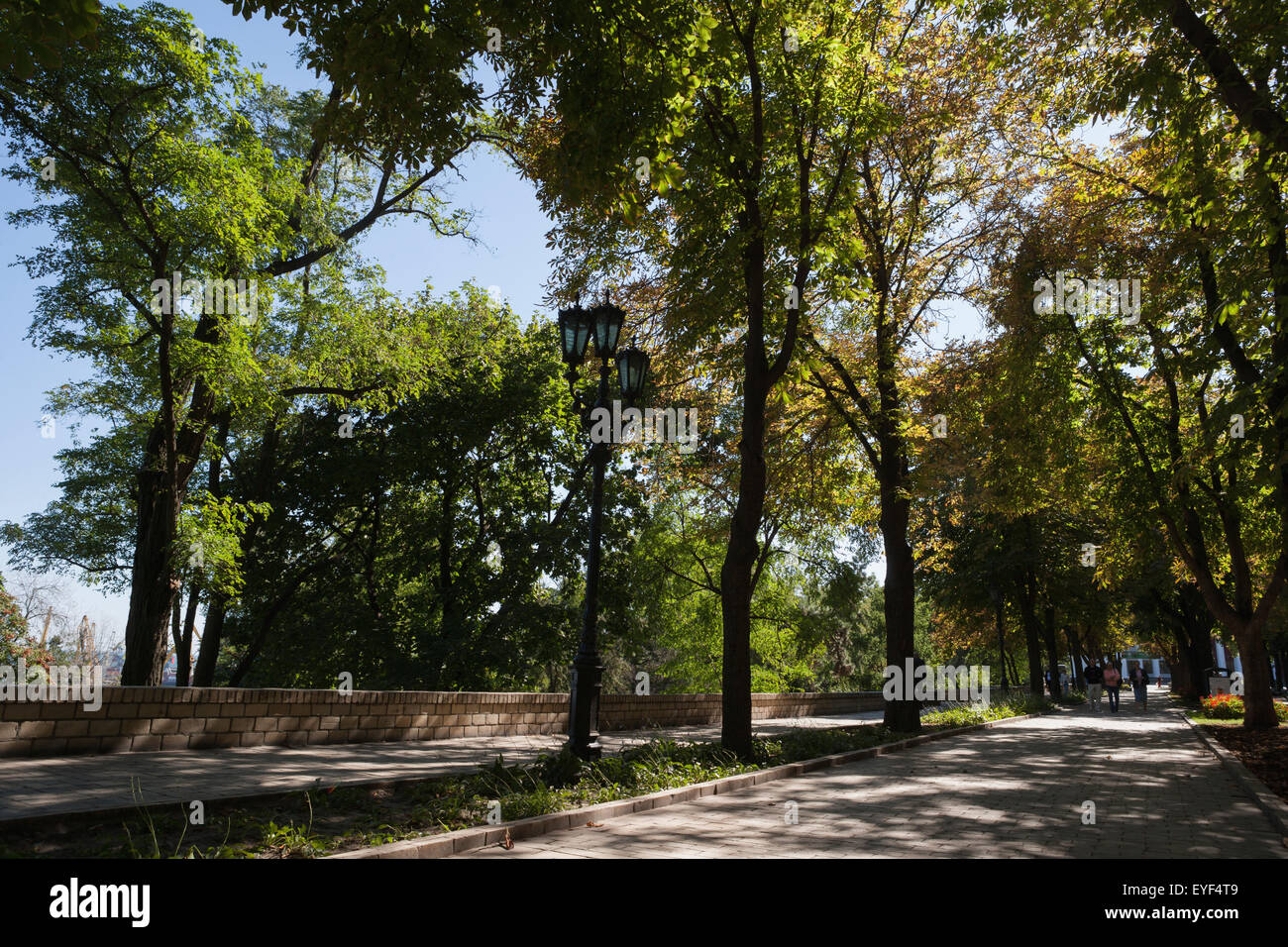 La promenade bordée de Prymorsky Bul, Odessa, Ukraine Banque D'Images