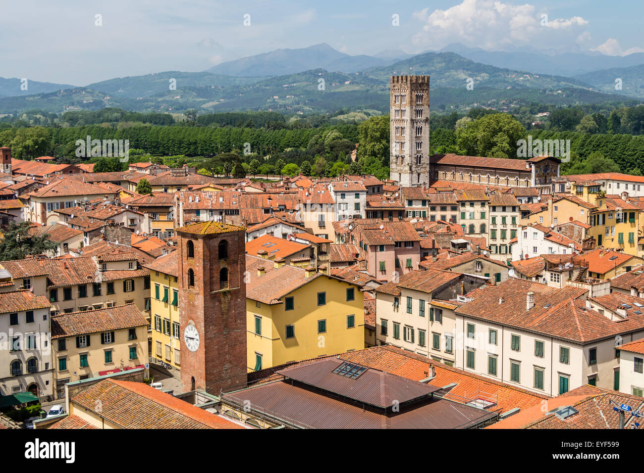 Ancienne ville et montagne, Lucca, Italie à partir de la tour Guinigi Banque D'Images