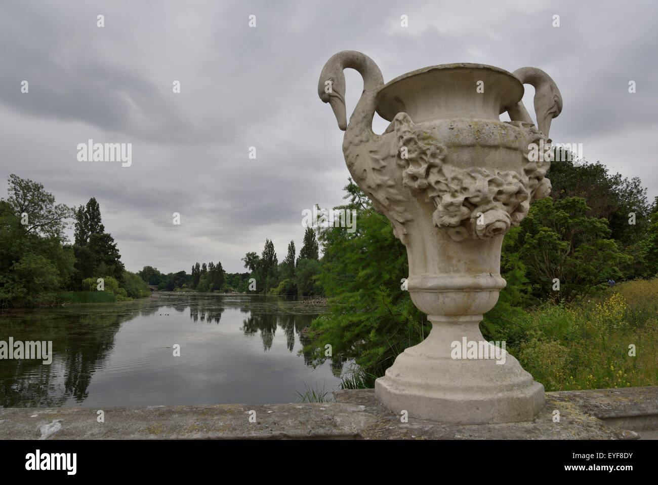 Hyde Park, Londres en Angleterre, à la recherche c'est mieux avec des oiseaux sauvages et des animaux Banque D'Images