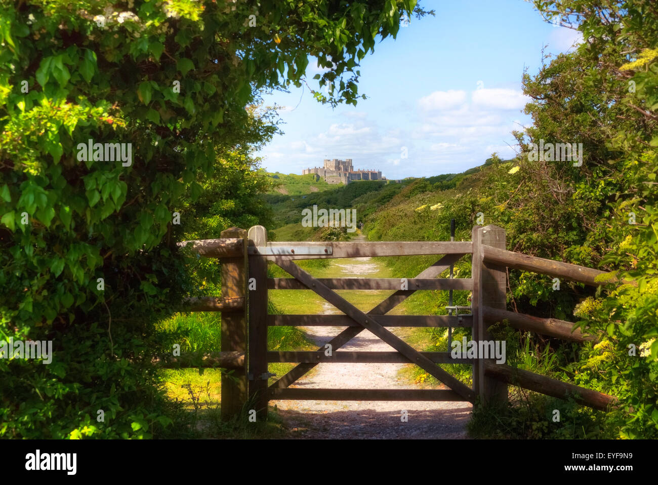Le château de Douvres, Dover, Kent, Angleterre, Royaume-Uni Banque D'Images